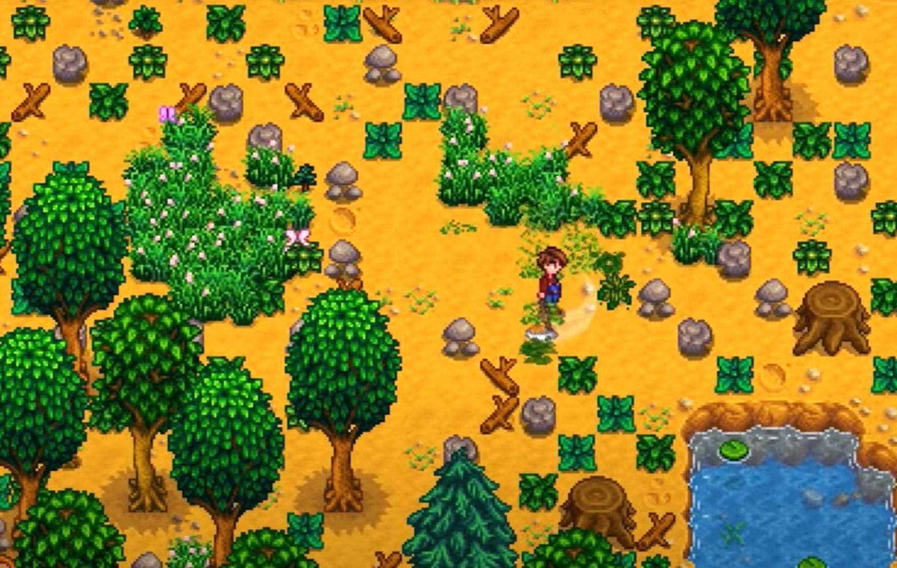 stardew valley